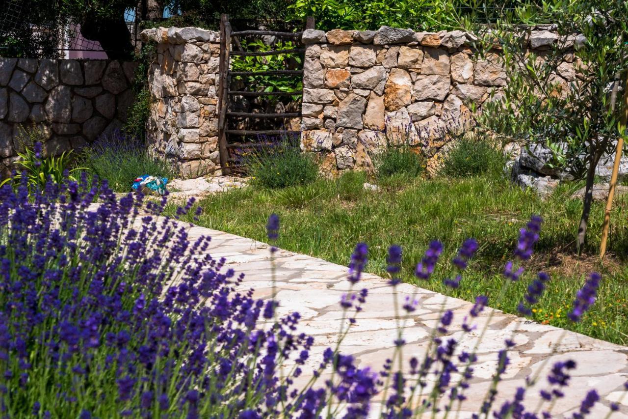 Apartmani Maslina ルン エクステリア 写真
